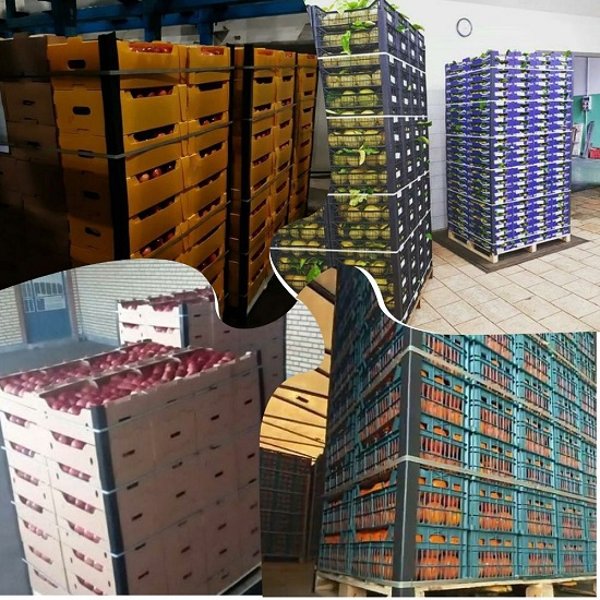 نبشی پلاستیکی میوه صادراتی و عمده – تی تاک 09197443453