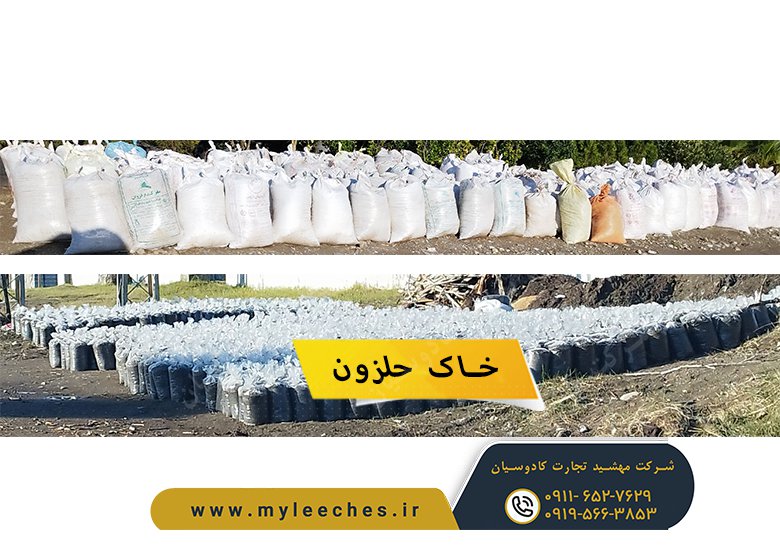 خرید خاک مخصوص حلزون اچاتینا البینو در شیراز