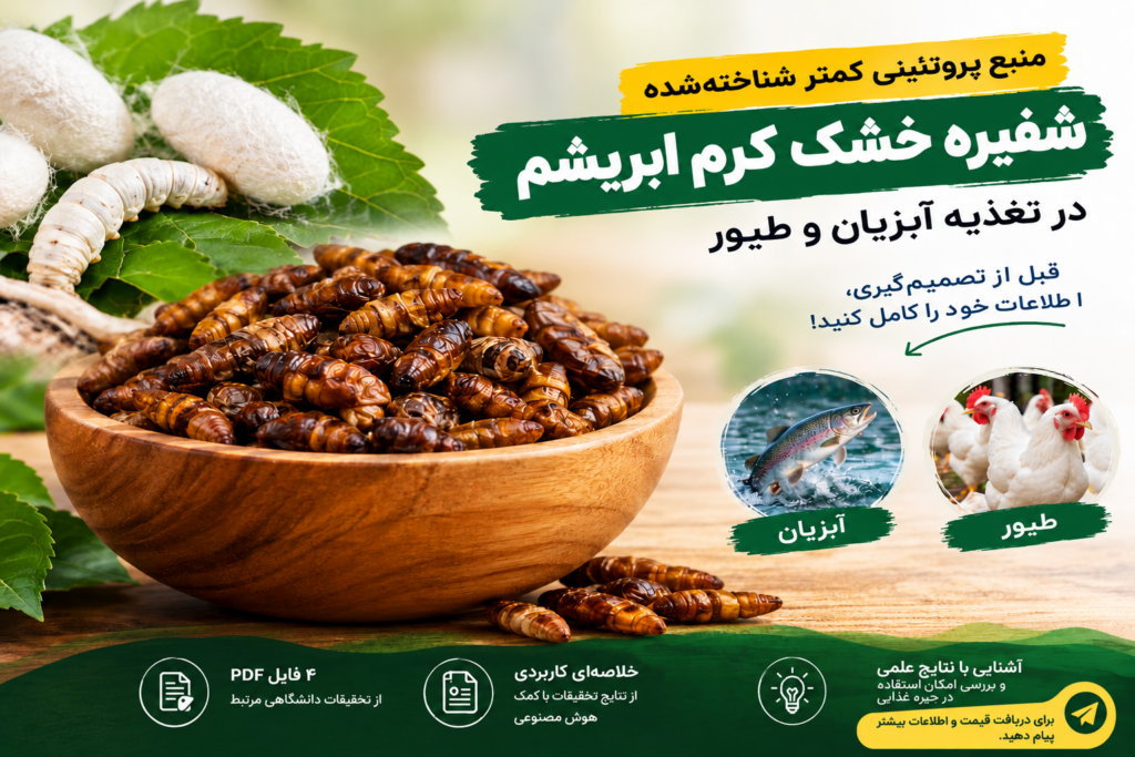 شفیره خشک کرم ابریشم منبع پروتئینی آبزیان و طیور